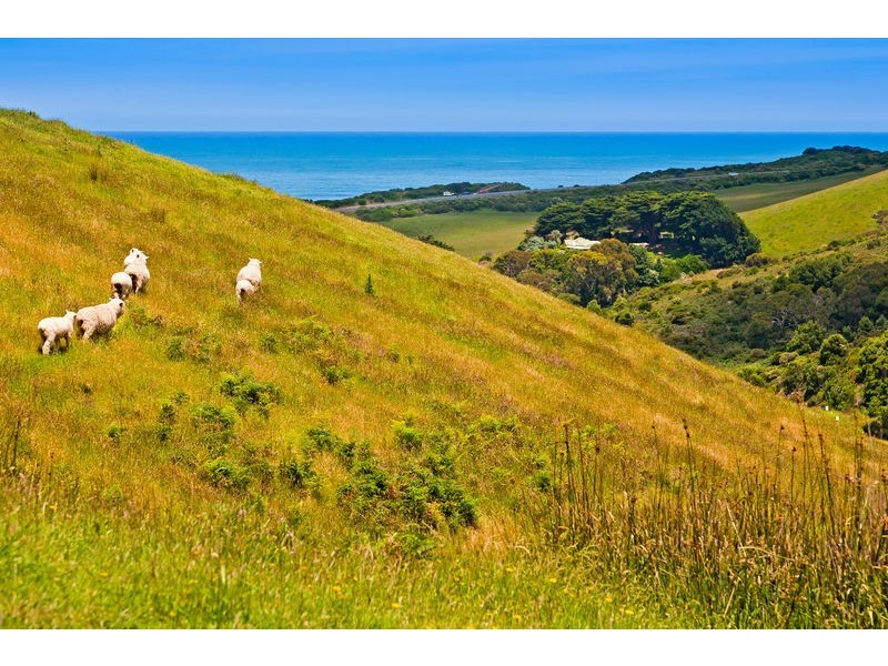 3170 Great Ocean Road, Apollo Bay VIC 3233