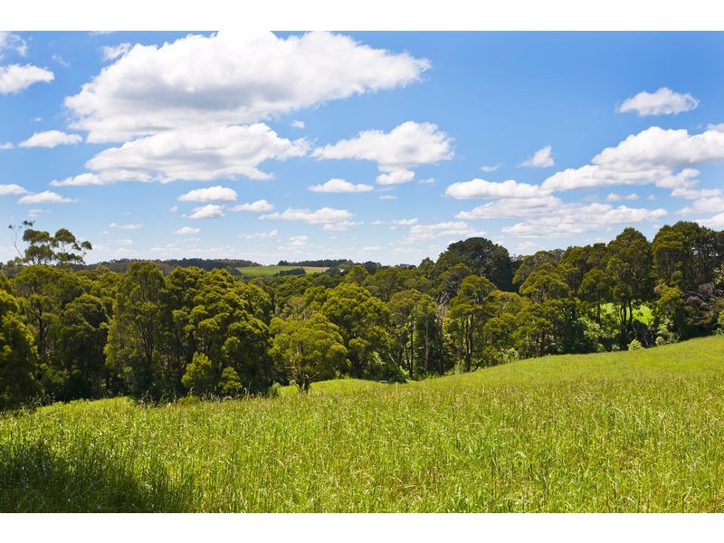 4850 Colac Lavers Hill Road, Lavers Hill VIC 3238