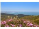 5835 Great Ocean Road, Yuulong VIC 3237