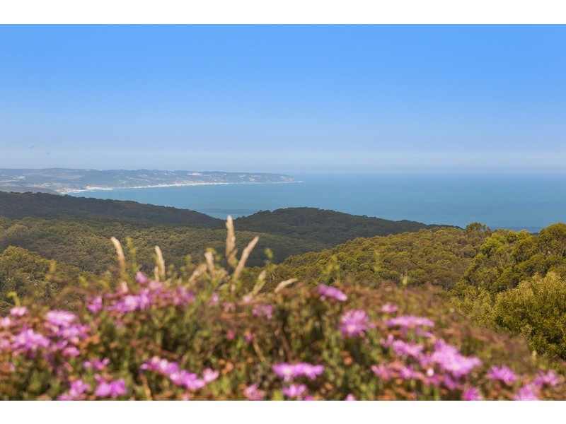 5835 Great Ocean Road, Yuulong VIC 3237