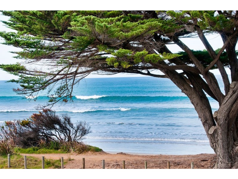 1/273 Great Ocean Road, Apollo Bay VIC 3233