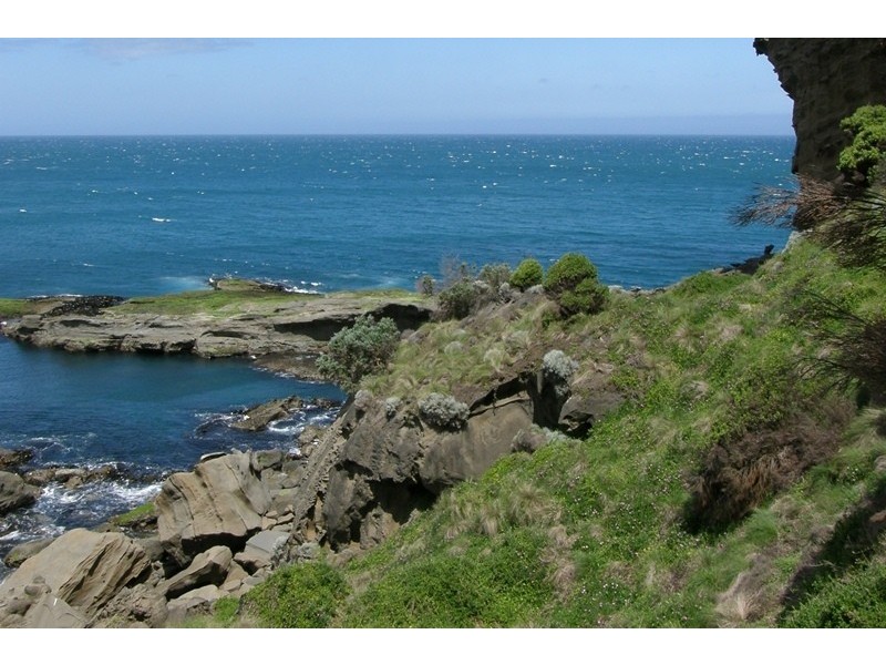119 Knowledge Track (Yuulong), Apollo Bay VIC 3233