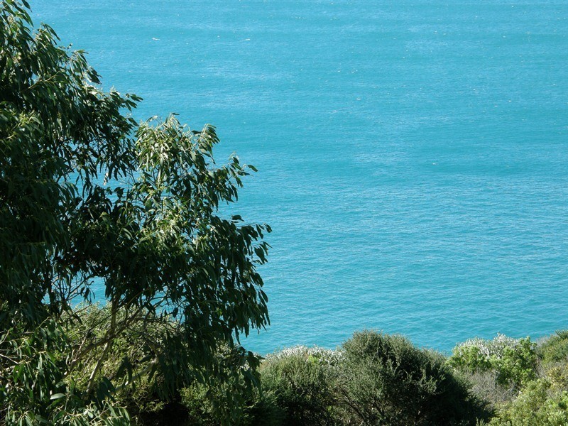 119 Knowledge Track (Yuulong), Apollo Bay VIC 3233