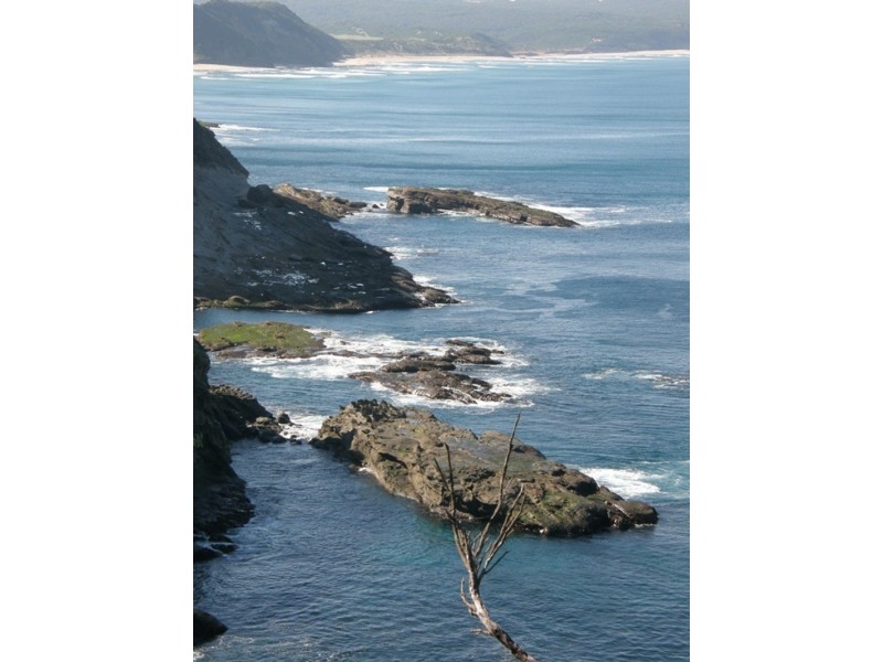 119 Knowledge Track (Yuulong), Apollo Bay VIC 3233