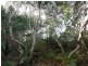 119 Knowledge Track (Yuulong), Apollo Bay VIC 3233