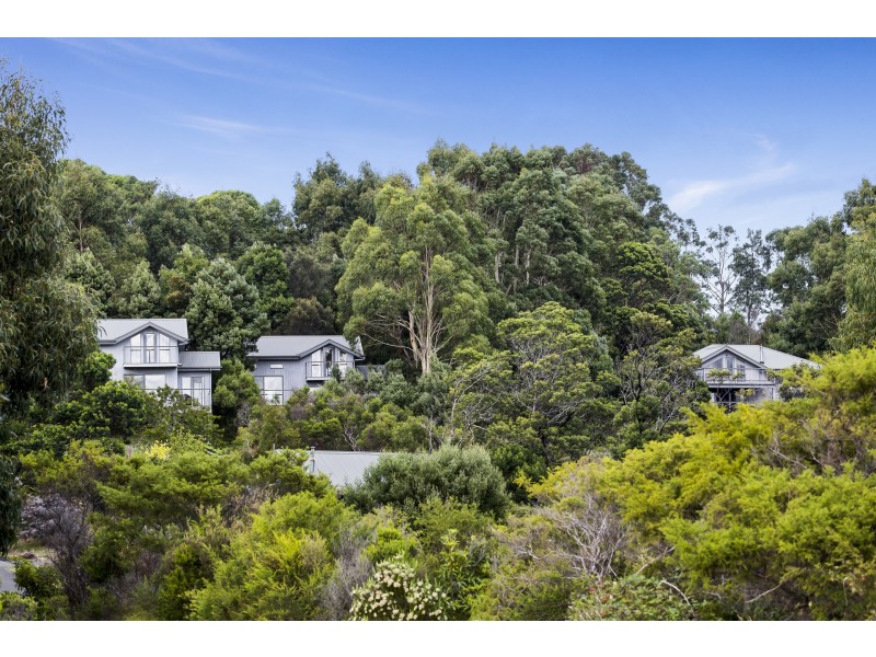 35 Alice Court, Apollo Bay VIC 3233