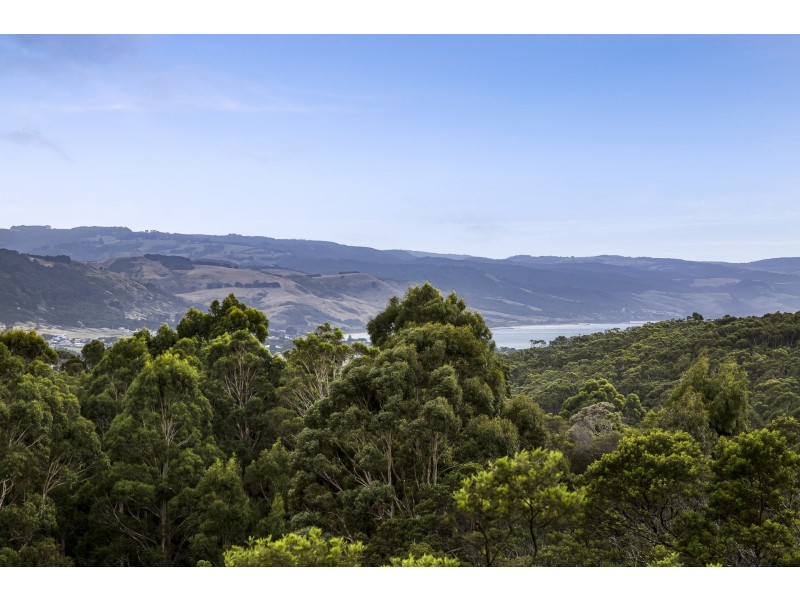 35 Alice Court, Apollo Bay VIC 3233