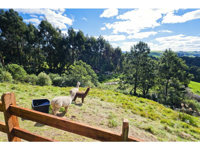 35 Alice Court, Apollo Bay VIC 3233