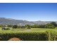 15 Nelson Street, Apollo Bay VIC 3233