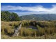 170 Busty Road, Apollo Bay VIC 3233