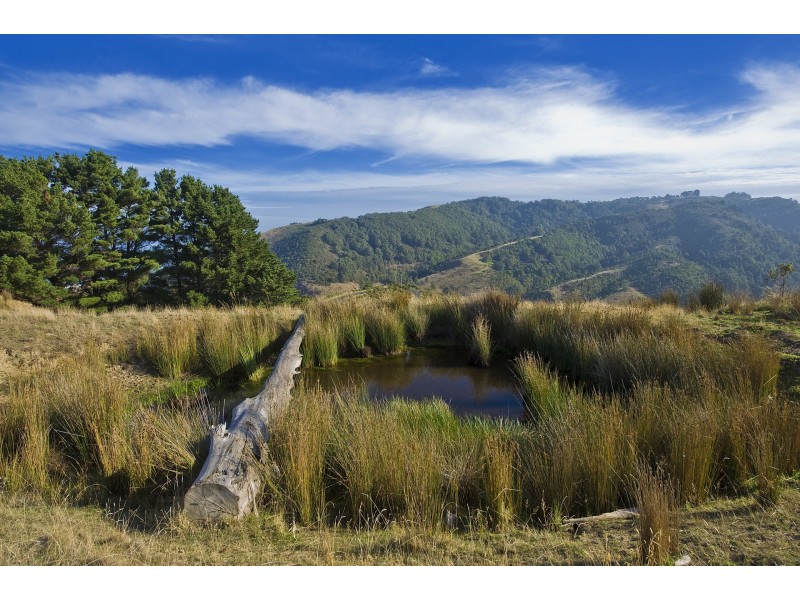 170 Busty Road, Apollo Bay VIC 3233