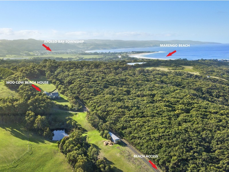 371 Great Ocean Road, Marengo VIC 3233