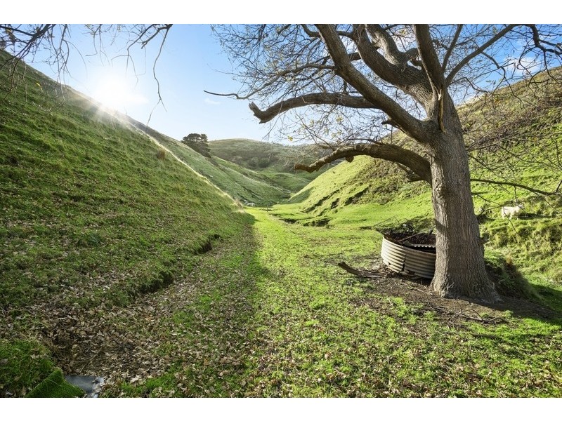 3060 Great Ocean Road, Glenaire VIC 3238