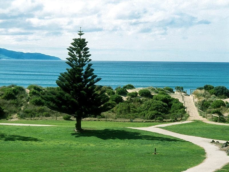 3/91A Great Ocean Road, Apollo Bay VIC 3233