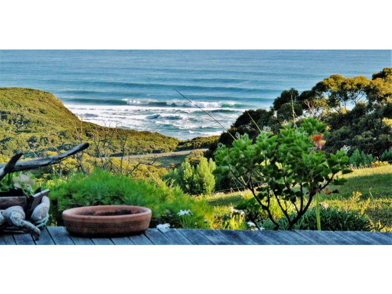 3342 Great Ocean Road, Glenaire VIC 3238