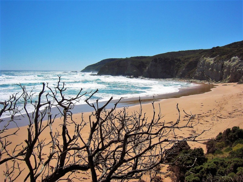 3342 Great Ocean Road, Glenaire VIC 3238