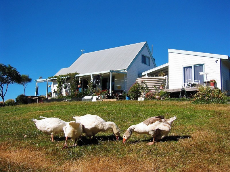 3342 Great Ocean Road, Glenaire VIC 3238