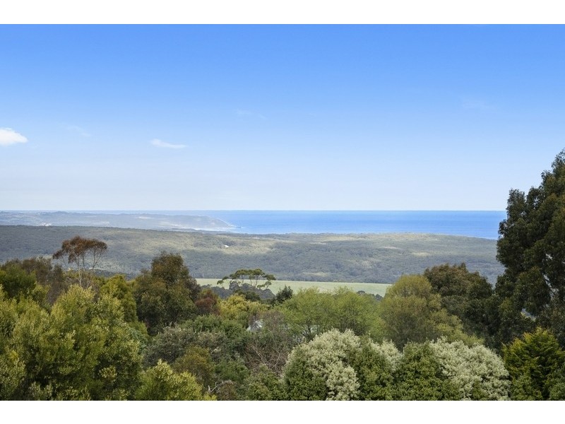 225 Blue Johanna Road, Johanna VIC 3238