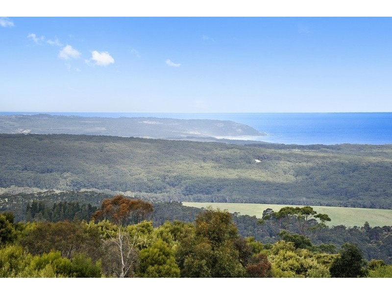 225 Blue Johanna Road, Johanna VIC 3238