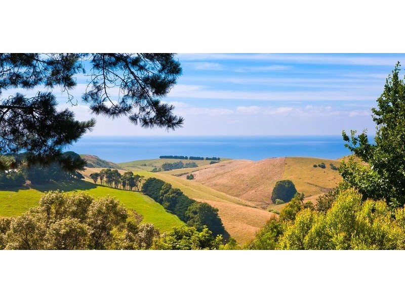 245 Busty Road, Apollo Bay VIC 3233