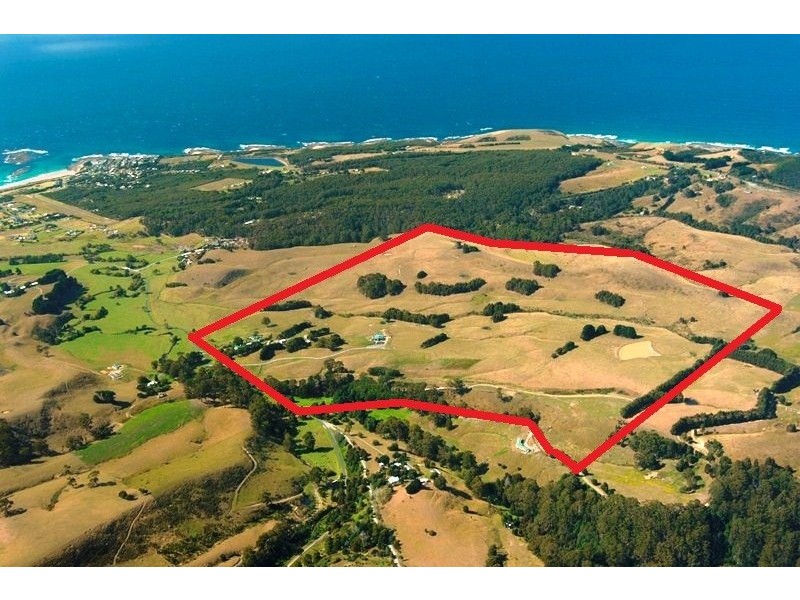 305 Barham River Road, Apollo Bay VIC 3233