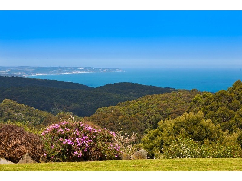 5835 Great Ocean Road (Yuulong), Apollo Bay VIC 3233