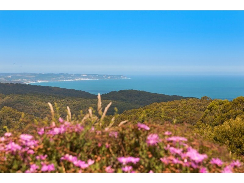 5835 Great Ocean Road (Yuulong), Apollo Bay VIC 3233