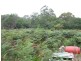 Lot 6 Lower Gellibrand Road, Princetown VIC 3269
