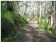 Lot 6 Lower Gellibrand Road, Princetown VIC 3269