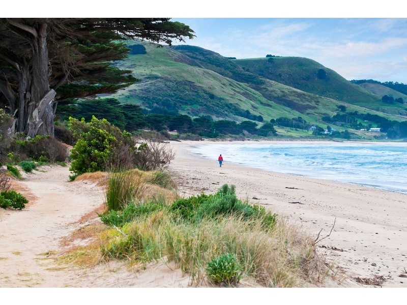 263 Great Ocean Road, Apollo Bay VIC 3233