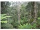 55 Old Coach Road, Yuulong VIC 3237