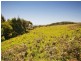 LOT 1 Parkers Access, Yuulong VIC 3237