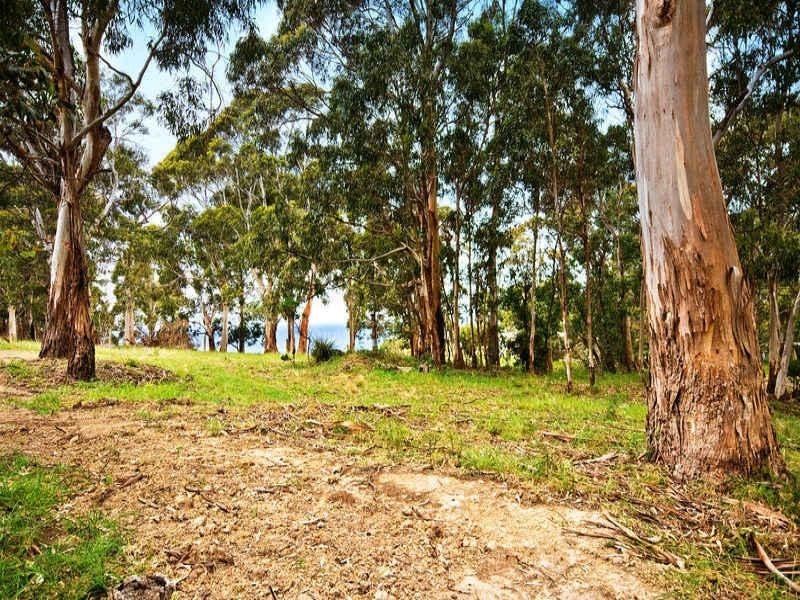 75 Old Coach Road, Apollo Bay VIC 3233