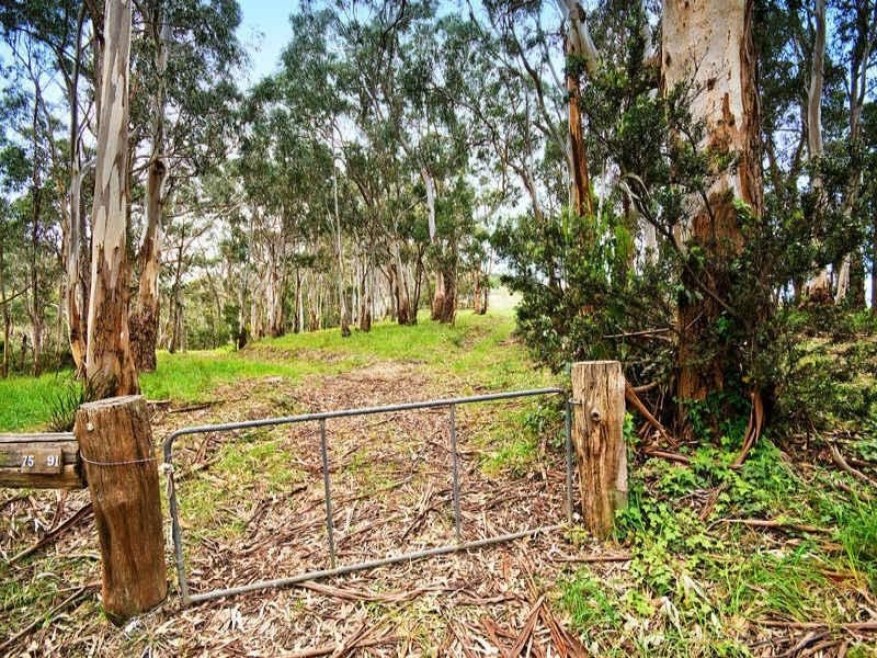 75 Old Coach Road, Apollo Bay VIC 3233