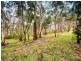 75 Old Coach Road, Apollo Bay VIC 3233