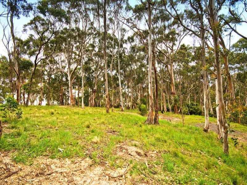 75 Old Coach Road, Apollo Bay VIC 3233