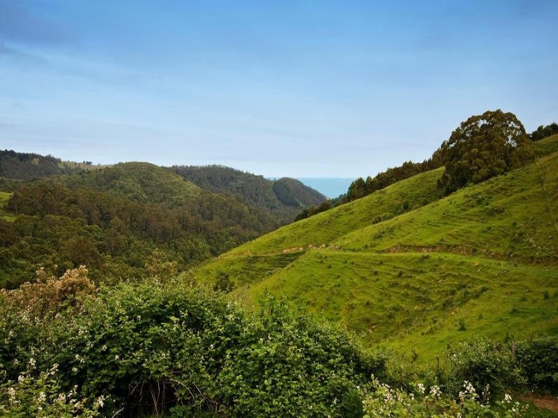 700 Wild dog Road, Apollo Bay VIC 3233