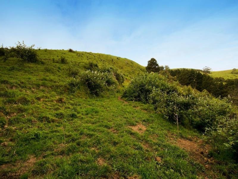 700 Wild dog Road, Apollo Bay VIC 3233