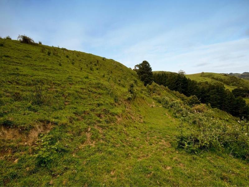 700 Wild dog Road, Apollo Bay VIC 3233