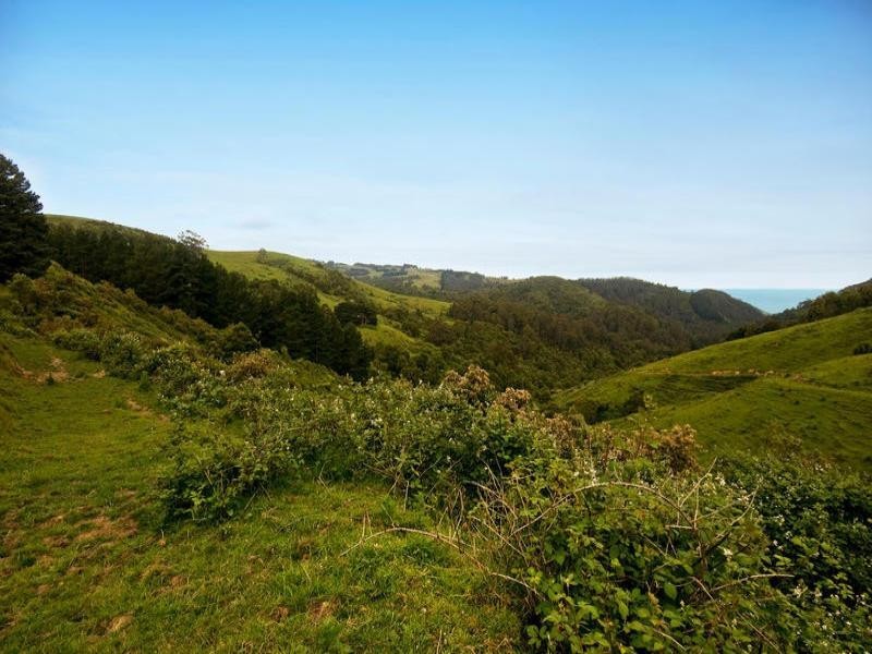 700 Wild dog Road, Apollo Bay VIC 3233