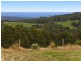 4695 Colac Lavers Hill Road, Lavers Hill VIC 3238