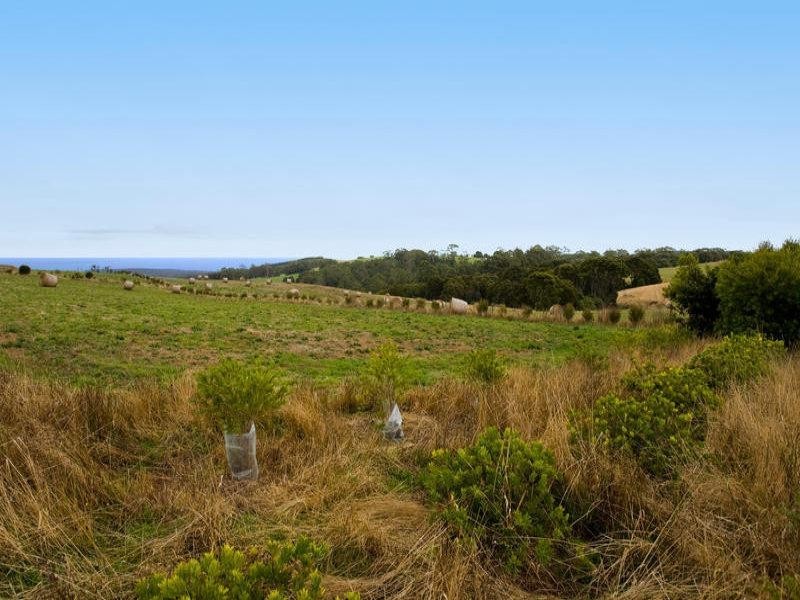 4695 Colac Lavers Hill Road, Lavers Hill VIC 3238