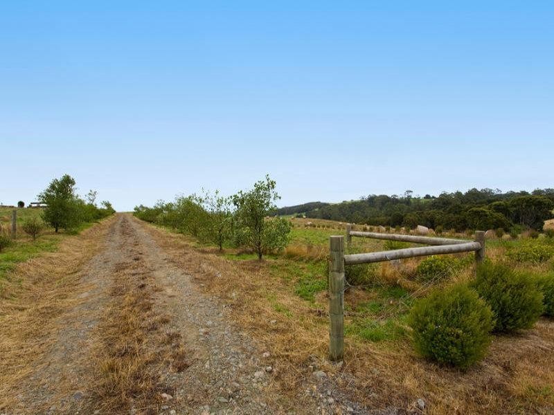 4695 Colac Lavers Hill Road, Lavers Hill VIC 3238