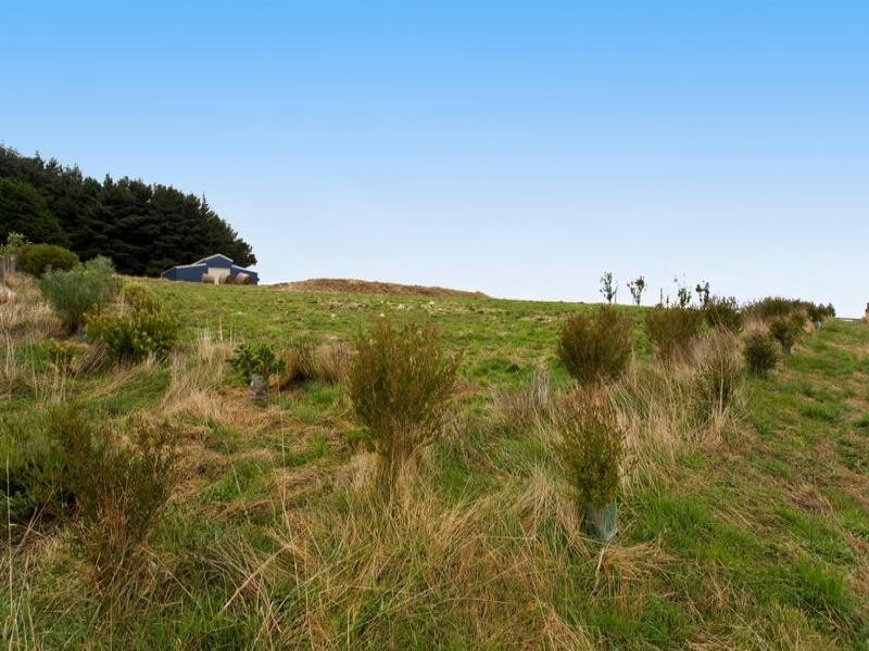 4695 Colac Lavers Hill Road, Lavers Hill VIC 3238