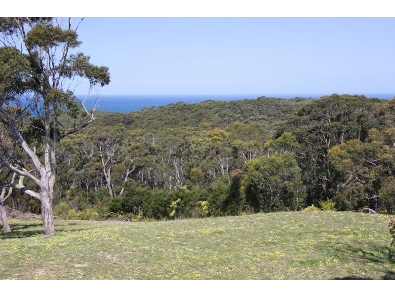 1 Parkers Access, Apollo Bay VIC 3233
