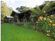 485 Wild Dog Road, Apollo Bay VIC 3233