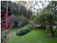 485 Wild Dog Road, Apollo Bay VIC 3233