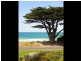 245 Great Ocean Road, Apollo Bay VIC 3233