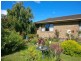 8 Casino Avenue, Apollo Bay VIC 3233