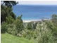 18/270 Skenes Creek Road, Skenes Creek VIC 3233
